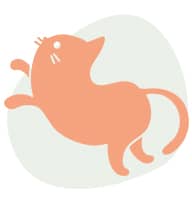 Mit Vetrihemp CBD für Katzen fühlt sich Ihre Katze pudelwohl