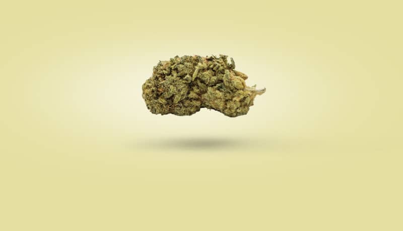 CBD Wirkung