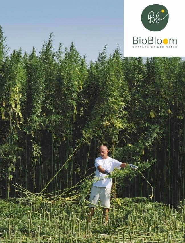 BioBloom Anbau