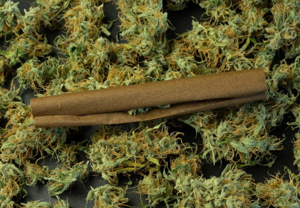 Blunt