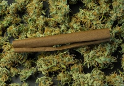 Blunt