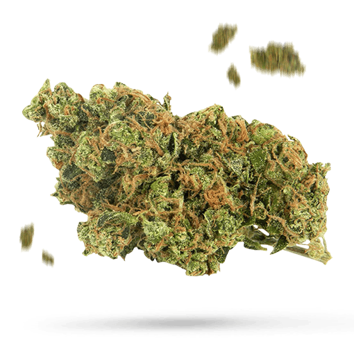 Bubba Kush Cannabisblüte