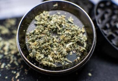 Cannabis im Grinder mahlen