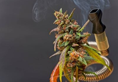 Cannabis Vaporizer Temperatur