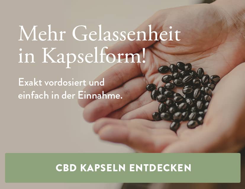 CBD Kapseln