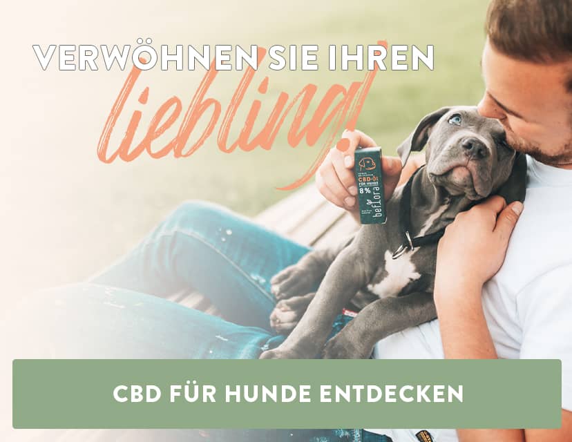 CBD Öl für Hunde
