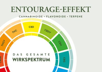 Entourage Effekt