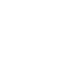 Flower Power - Icon