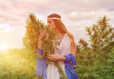 H4CBD Erfahrungen