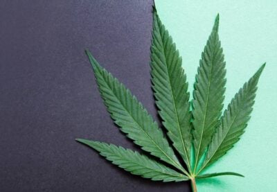 HHC vs. THC