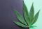 HHC vs. THC