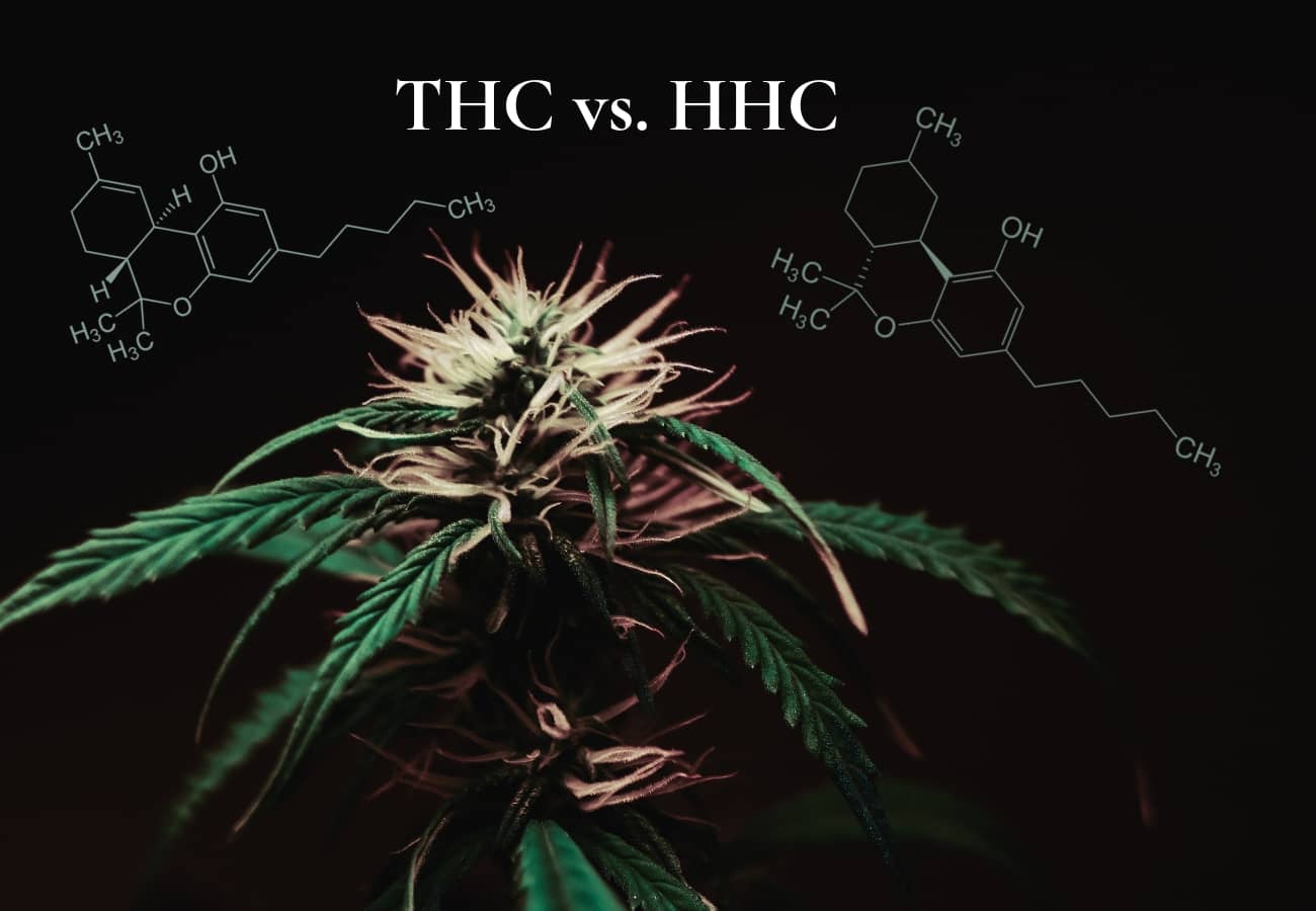 HHC vs. THC vs. Spice