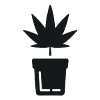 Hanfpflanzen - Icon