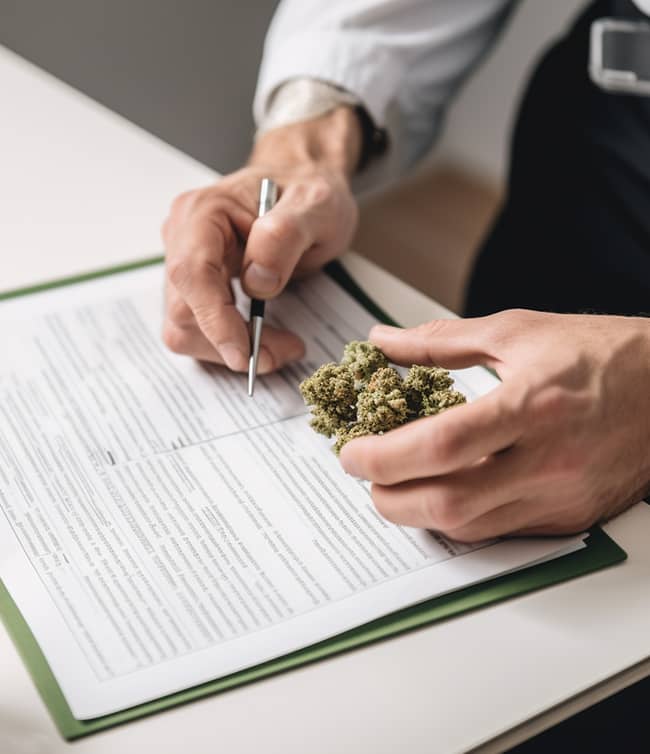 Verschreibung von Medizinal Cannabisblüten seit 2017 in Deutschland