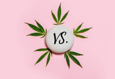 H4CBD vs HHC