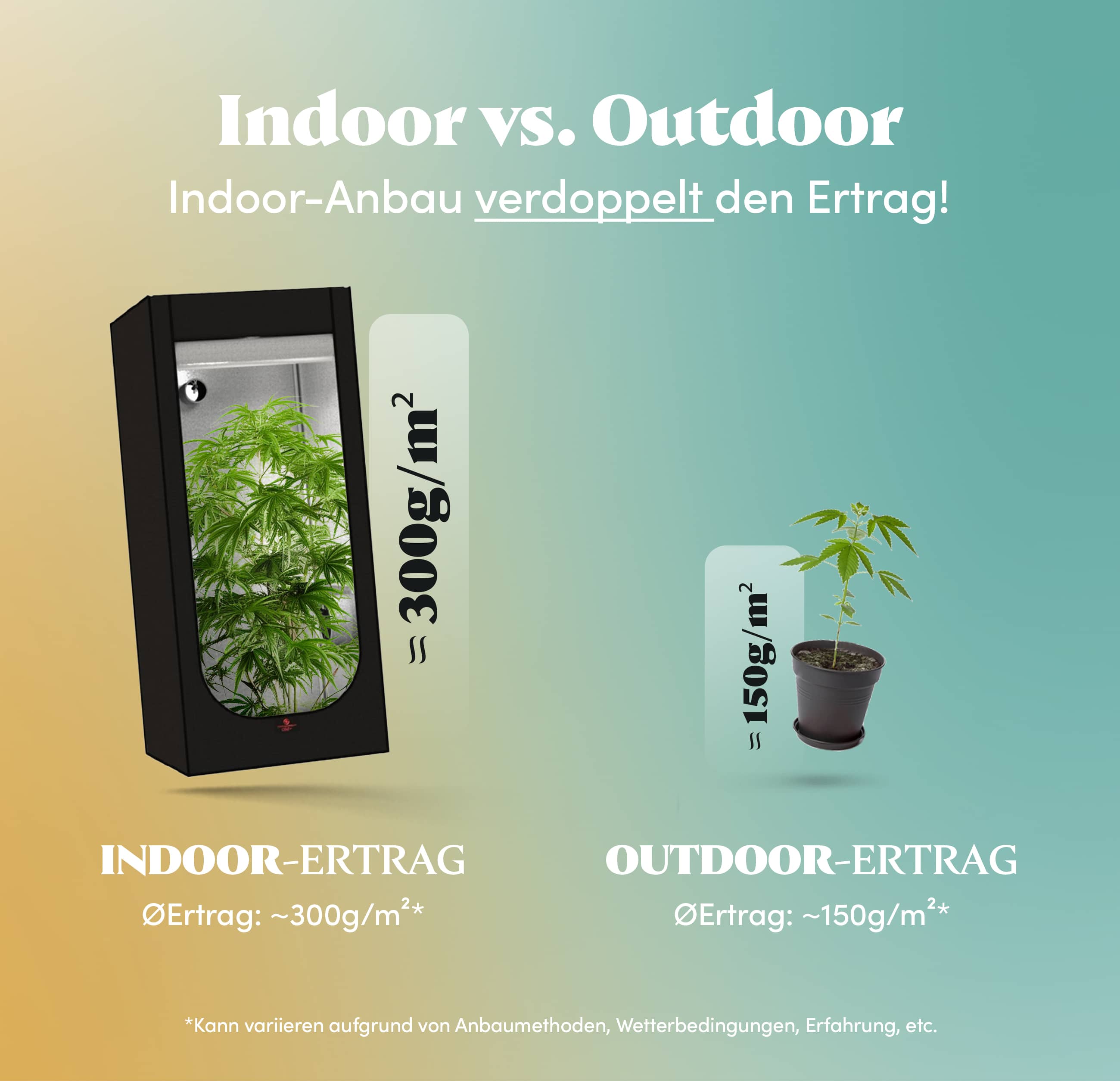 Indoor vs. Outdoor Anbau - Der Indoor Anbau mit einer Growbox verdoppelt den Ertrag.