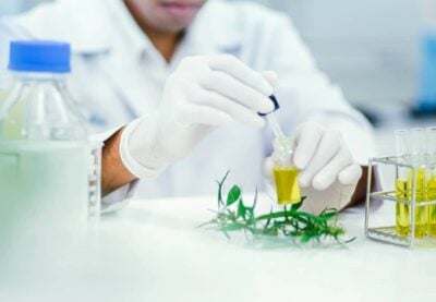 THC Gehalt messen