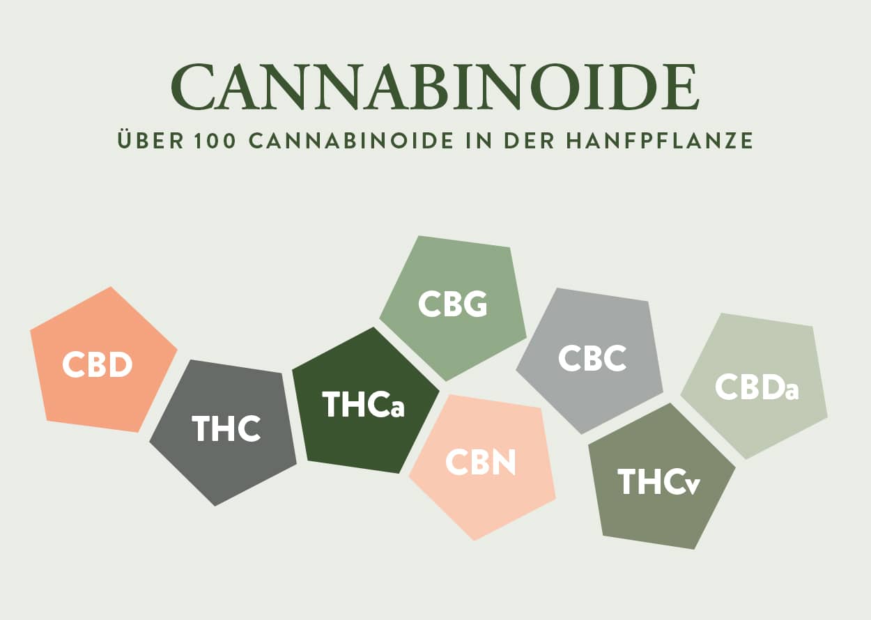 Cannabinoide Liste