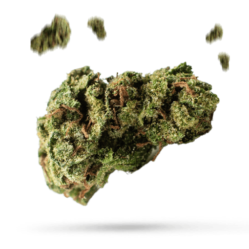 Afghan Hawaiian Cannabisblüte