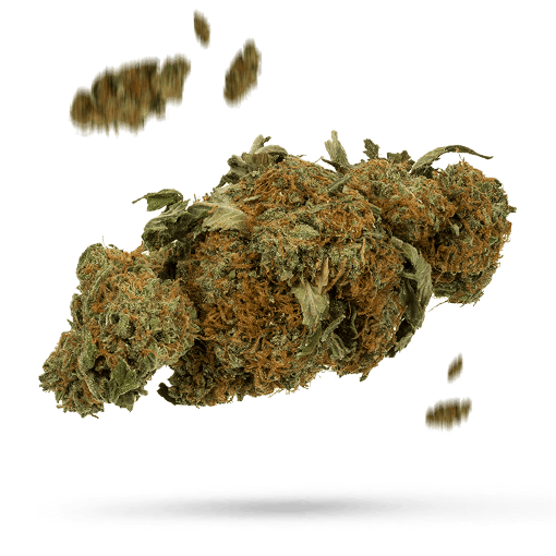 Chem Crush Cannabisblüte