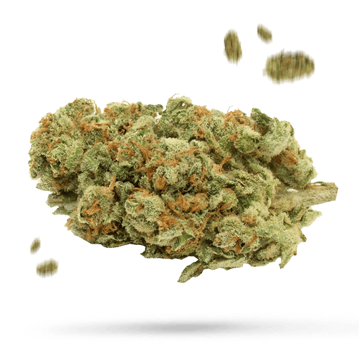 Cherry Runtz Cannabisblüte