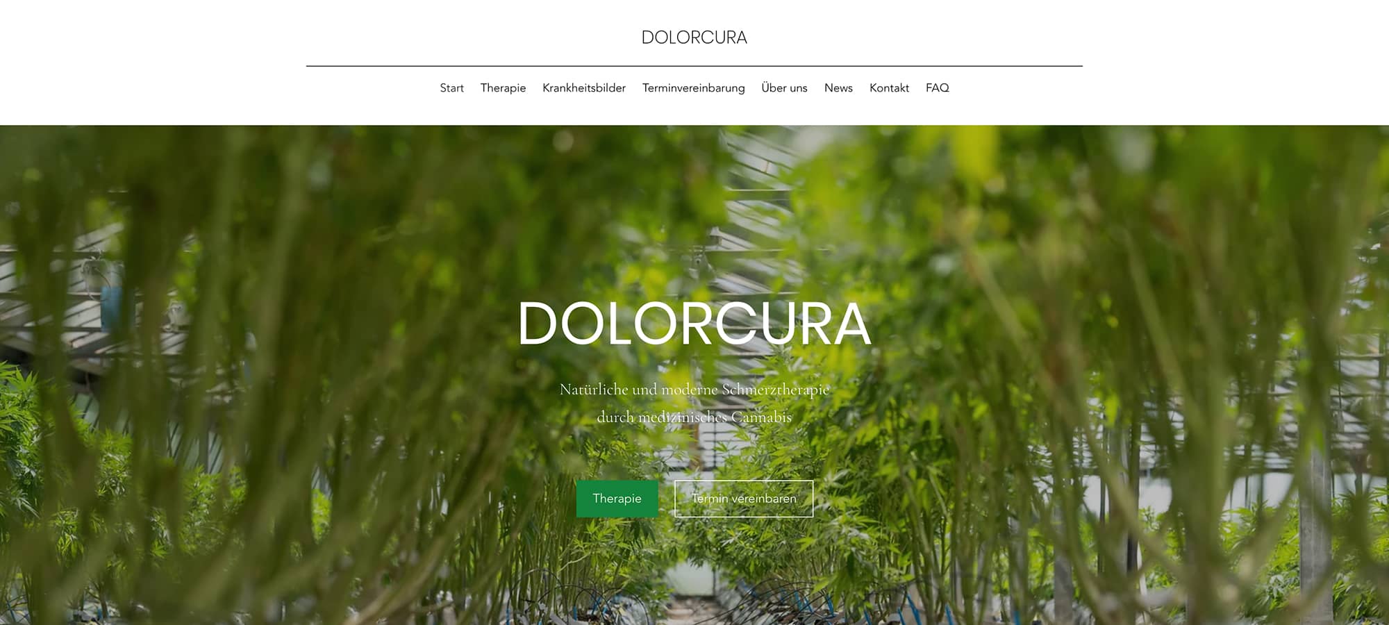 DolorCura - Details im Überblick