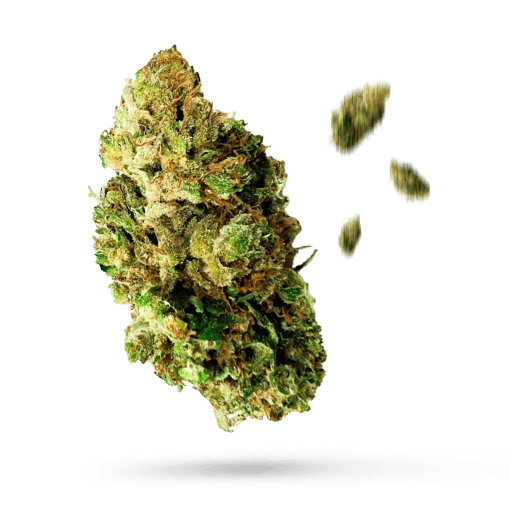 Duke Nukem Cannabisblüte