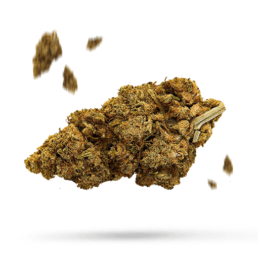 Golden Nugget Cannabisblüte