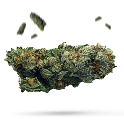 Kong Cannabisblüte