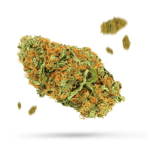 Mango Kush Cannabisblüte