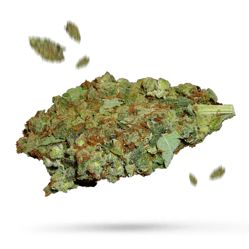 Orange Romulan Cannabisblüte
