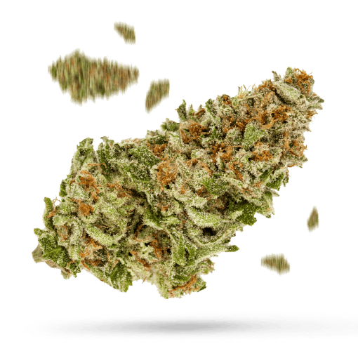 Silverfalls Kush Cannabisblüte