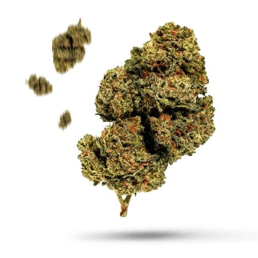 Sour Gorilla Cannabisblüte