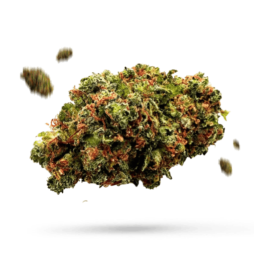 Tropic Punch Cannabisblüte
