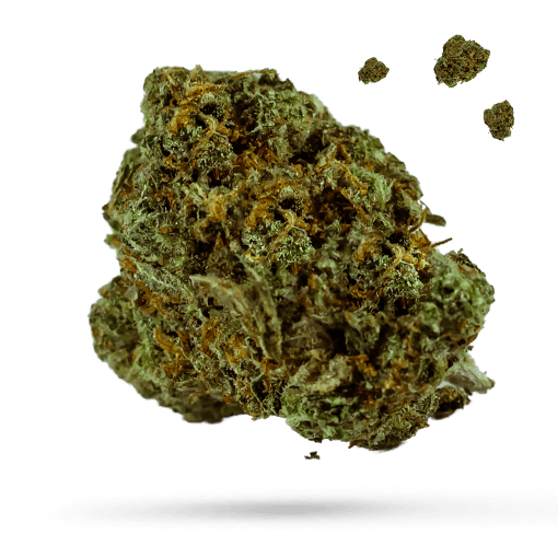 12 Year OG Cannabisblüte