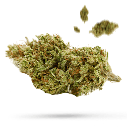 8 Ball Kush Cannabisblüte