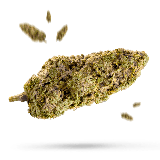 999 Cannabisblüte