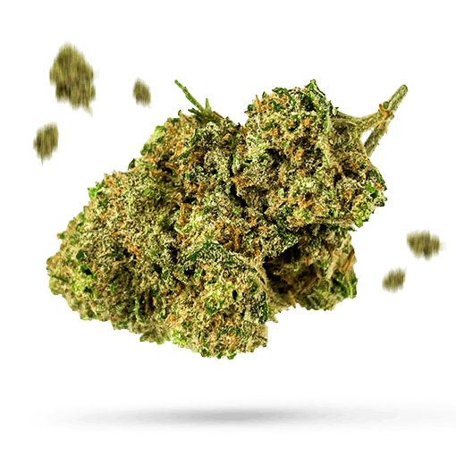 Afghanica Cannabisblüte