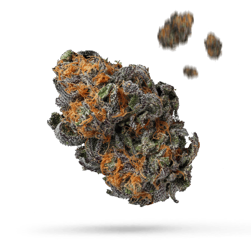 AK Choco Kush Cannabisblüte