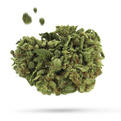 AK-OG Kush Cannabisblüte