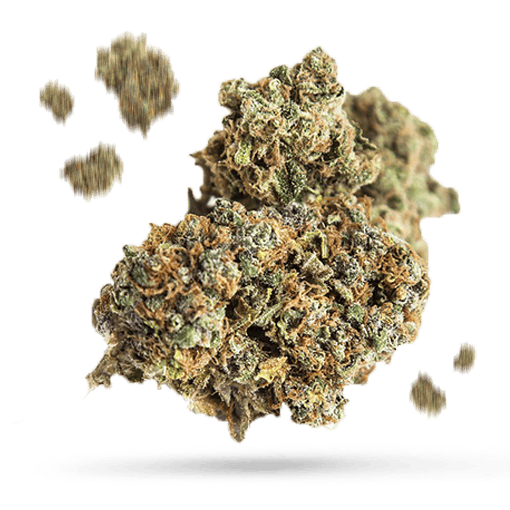 Alien Mints Cannabisblüte
