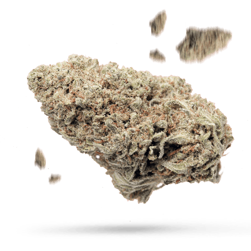 Alien Sour Apple Cannabisblüte