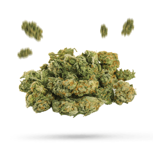 Alpha Express Cannabisblüte