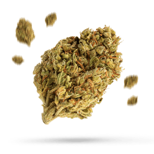 Alpha OG Cannabisblüte