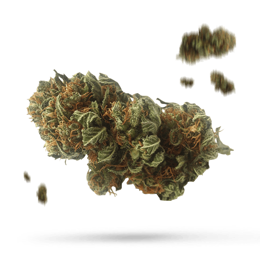 Anubis Cannabisblüte