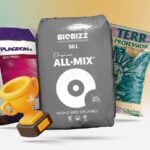 Beste Cannabis Erde Testsieger