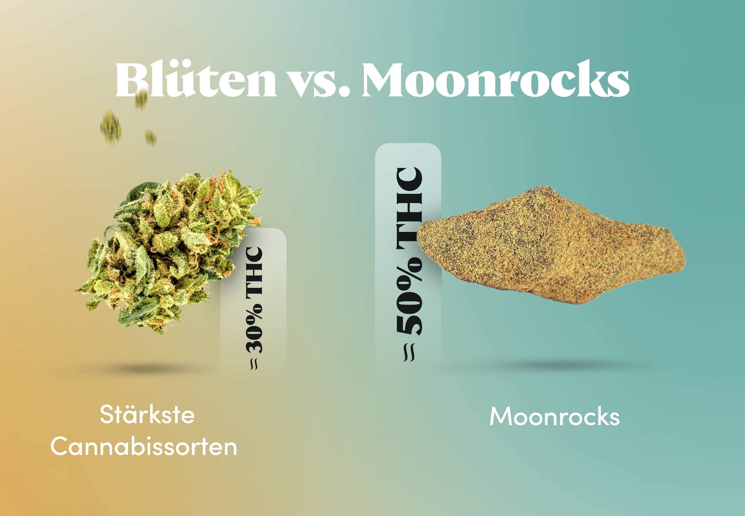 Stärkste Cannabissorten vs. Moonrocks - THC-Gehalt im Vergleich