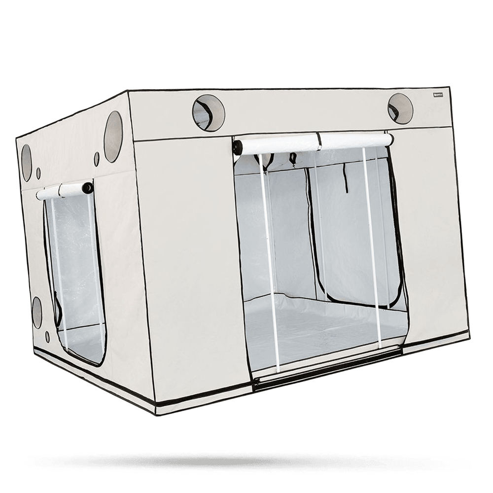 Homebox Ambient Q300+