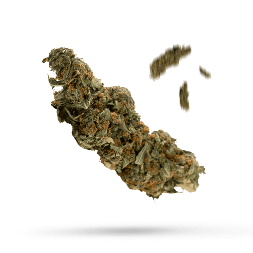 Arcata Trainwreck Cannabisblüte