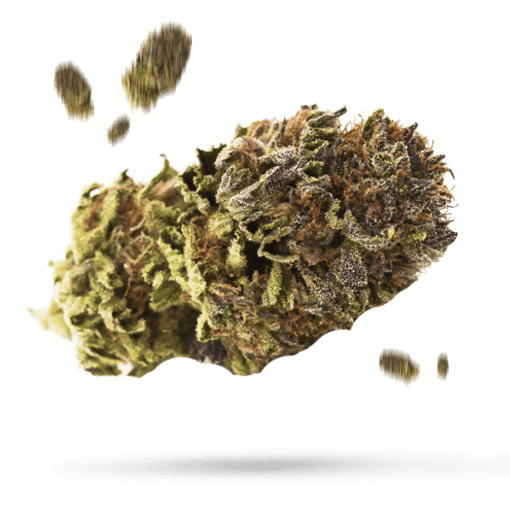 Axilla Cannabisblüte